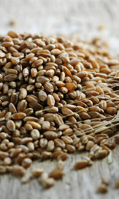 3 ways to manage leukemia symptoms