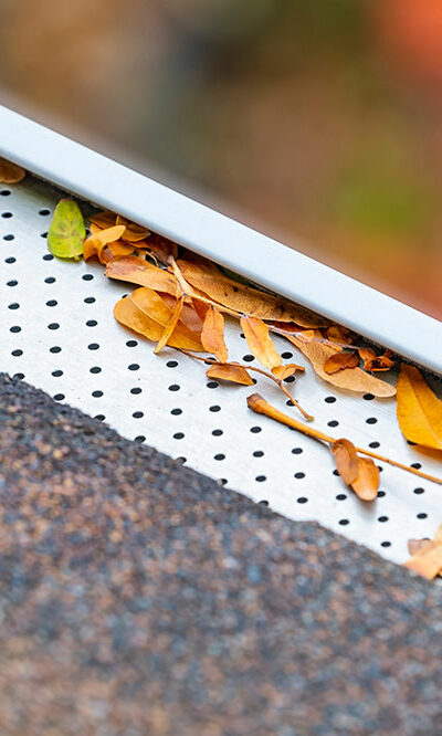 5 reasons to buy LeafGuard’s gutter system today