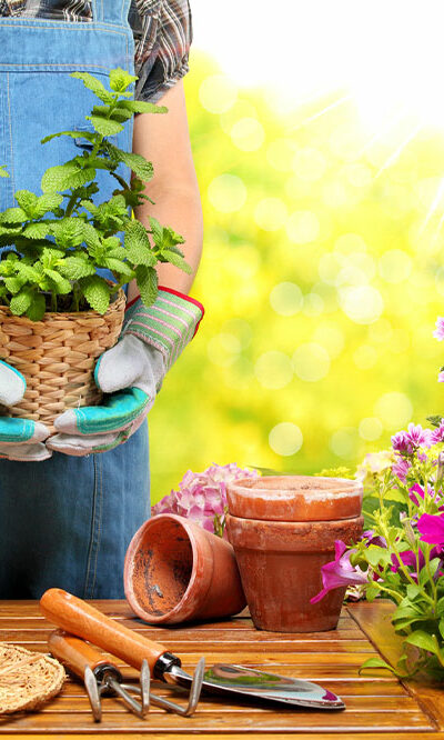 6 gardening mistakes to steer clear of